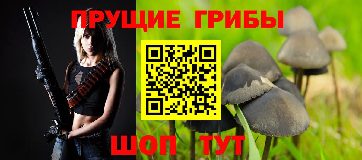 Псилоцибиновые грибы Psilocybine cubensis  купить   Мыски  Вход с VPN 
