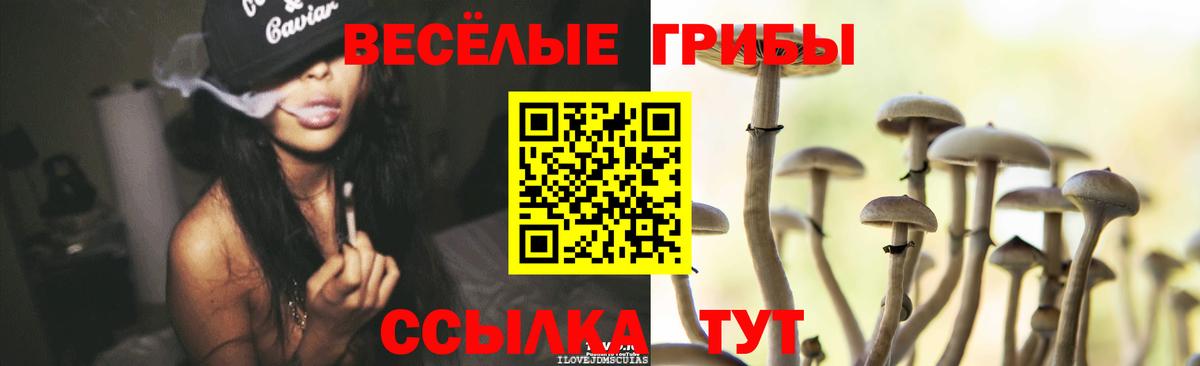 Псилоцибиновые грибы мицелий Мыски